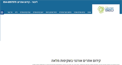 Desktop Screenshot of lichterseo.com